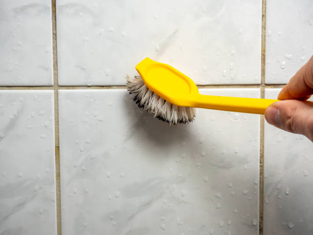 Best DIY Mold Remediation Support Services in Forest, VA