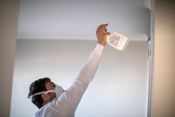 Best Localized Mold Remediation (e.g., coastal areas, humid climates) in Forest, VA
