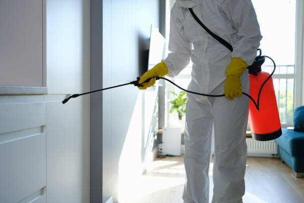 Best Industrial Mold Remediation in Forest, VA